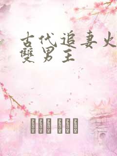 古代追妻火葬场双男主