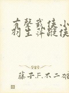 有声武侠小说梁羽生萍踪侠影