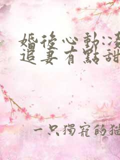 婚后心动:凌总追妻有点甜无删减