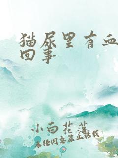 猫尿里有血怎么回事