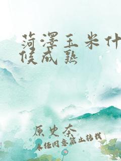 菏泽玉米什么时候成熟