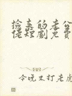 捡来的老公是大佬短剧免费观看