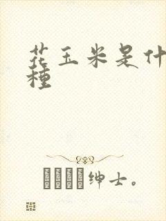 花玉米是什么品种