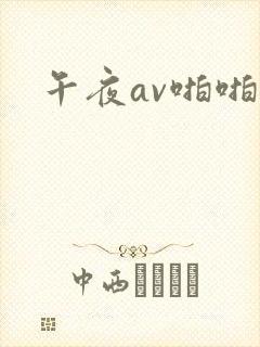午夜av啪啪片