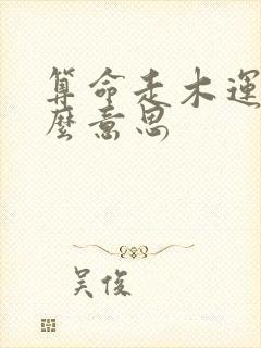 算命走木运是什么意思