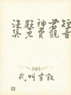 没殿神君短剧全集免费观看