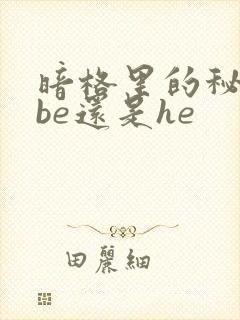 暗格里的秘密是be还是he