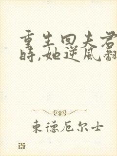 重生回夫君大婚时,她逆风翻盘第二部