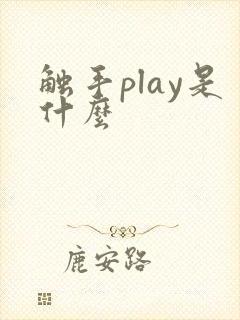 触手play是什么