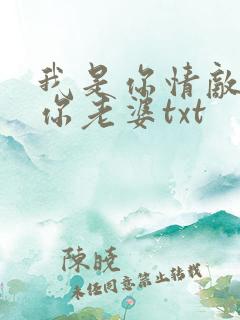 我是你情敌不是你老婆txt