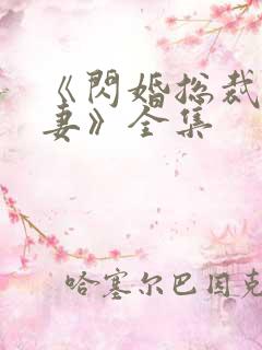 《闪婚总裁契约妻》全集
