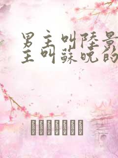 男主叫陆景川女主叫苏晚的小说
