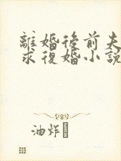 离婚后前夫哭着求复婚小说在线阅读免费