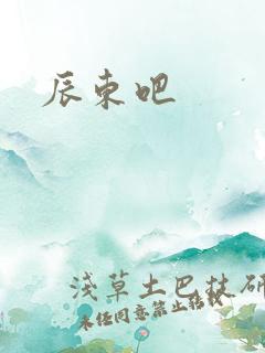 辰东吧
