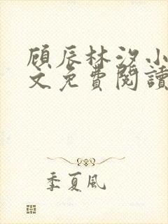 顾辰林汐小说全文免费阅读