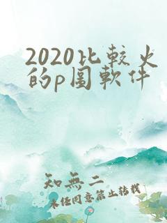 2020比较火的p图软件