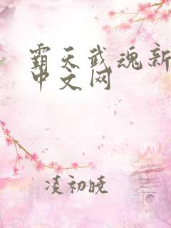 霸天武魂新八一中文网