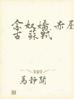 念奴娇 赤壁怀古 苏轼