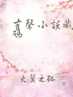 有声小说藏地密码