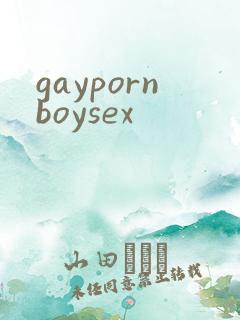 gaypornboysex