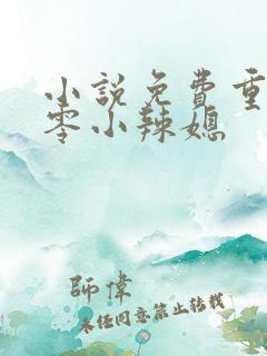 小说免费重生七零小辣媳