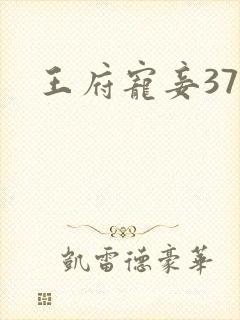 王府宠妾37章