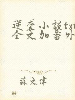 逆袭小说txt全文加番外