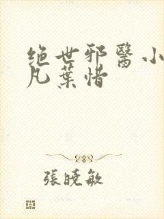 绝世邪医小说林凡叶惜