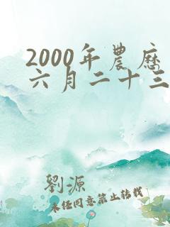 2000年农历六月二十三的生辰八字