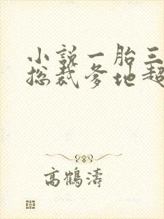 小说一胎三宝:总裁爹地超凶猛