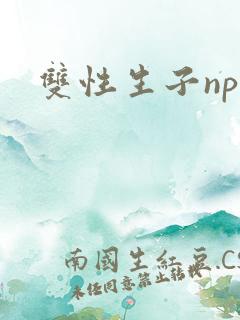 双性生子np轮