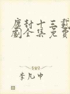 尘封十三载电视剧全集免费