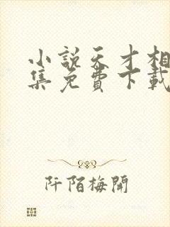 小说天才相师全集免费下载