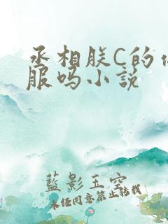 丞相朕C的你舒服吗小说