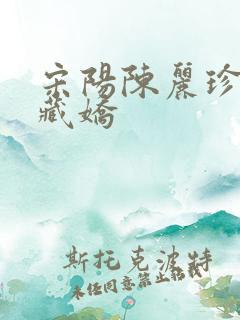 宋阳陈丽珍金屋藏娇