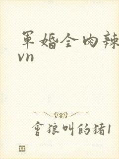 军婚全肉辣文1vn