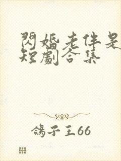 闪婚老伴是豪门短剧合集