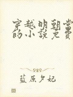 穿越明朝当王爷的小说免费阅读全文