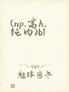 (np,高h,纯肉)bl