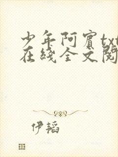少年阿宾txt在线全文阅读