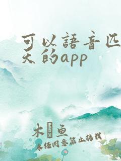 可以语音匹配聊天的app
