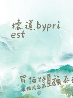 坏道bypriest