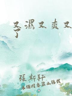 又湿又爽又高潮了