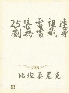 25集电视连续剧无处藏身免费观看