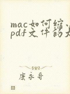 mac如何缩小pdf文件的大小