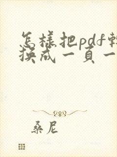 怎样把pdf转换成一页一页的