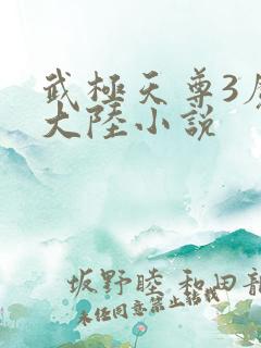 武极天尊3魔方大陆小说