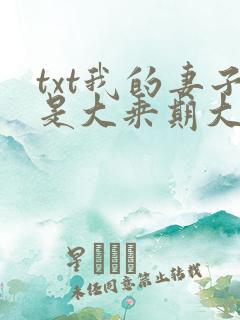 txt我的妻子是大乘期大佬下载