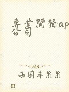 专业开发app公司