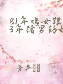 81年鸡女跟83年猪男的婚姻